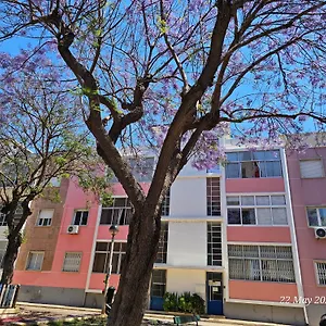 Blife Farensya Private District de Faro